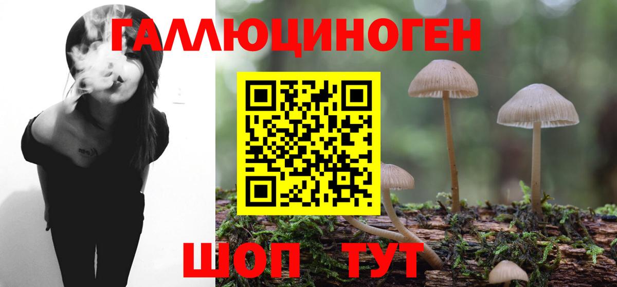 Псилоцибиновые грибы Cubensis  Вход с VPN  Алексин 